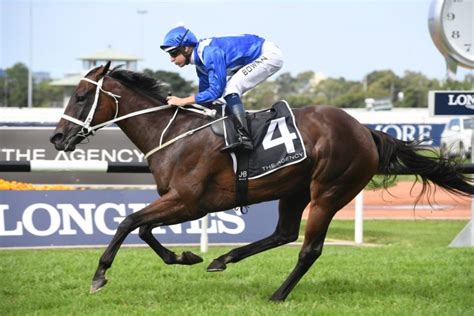 melbourne cup sweep 2021|2021 Melbourne Cup Results, Winner, Exotics .